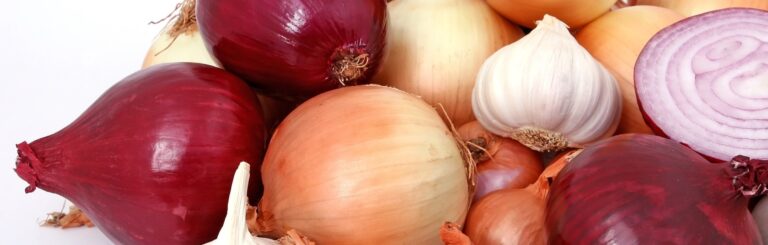 Importance of Dehydrated Onion & Garlic in Food Industry